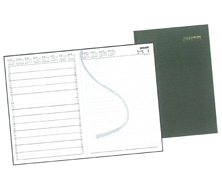 COLLINS A41 INTERLEAVED APPOINTMENT DIARY 2013